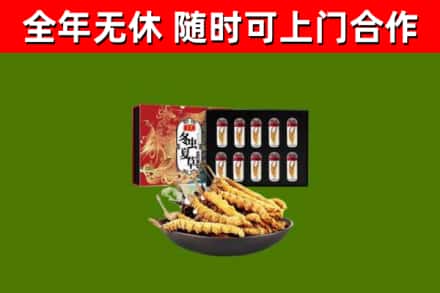 永州市烟酒回收冬虫夏草礼盒.jpg