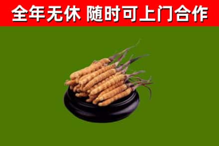 永州市烟酒回收冬虫夏草.jpg
